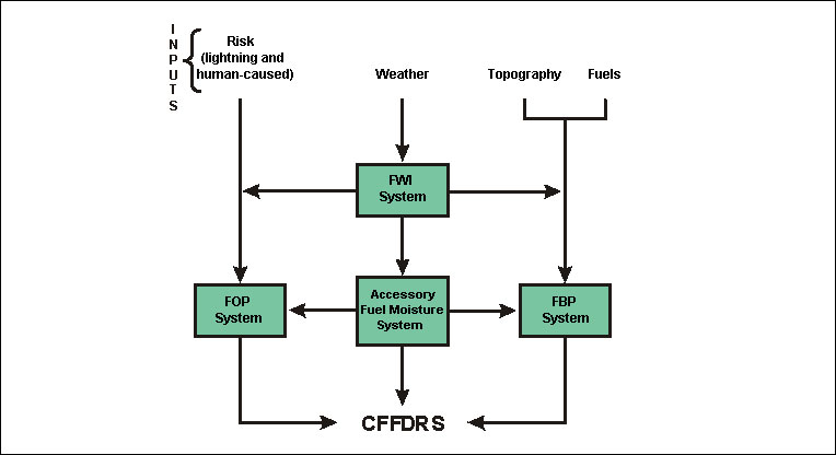 the CFFDRS components in a flow chart
