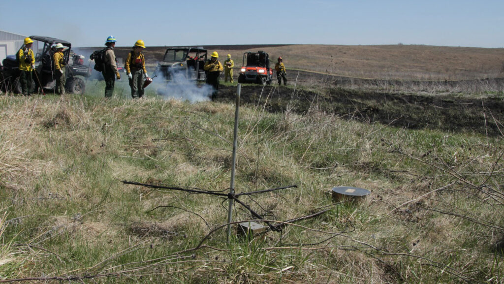A group of fire fighters performing a controlled burn of a grass field
