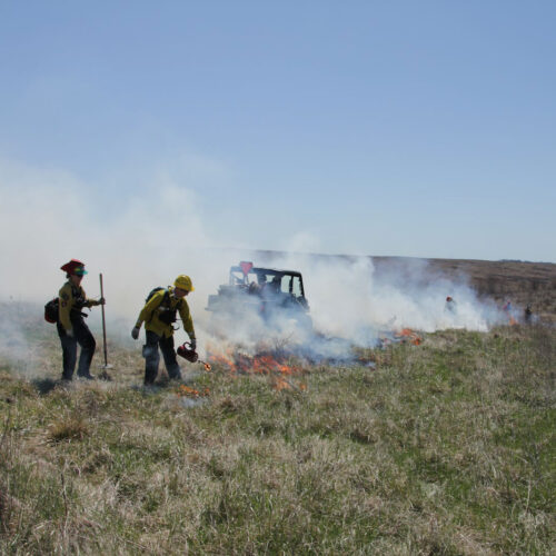A group of fire fighters performing a controlled burn of a grass field